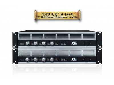 “DT ”Multichannel Entertainment Power amplifier 