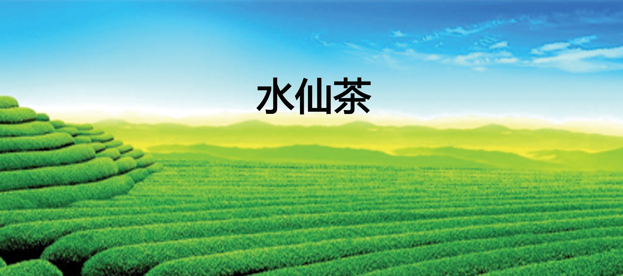 智能功放