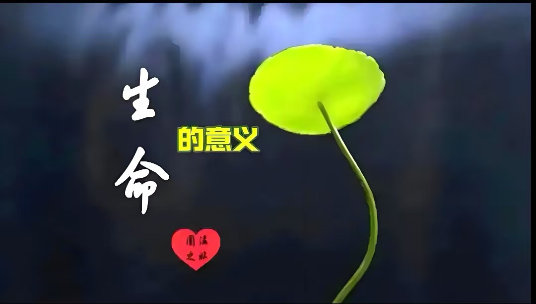 智能功放