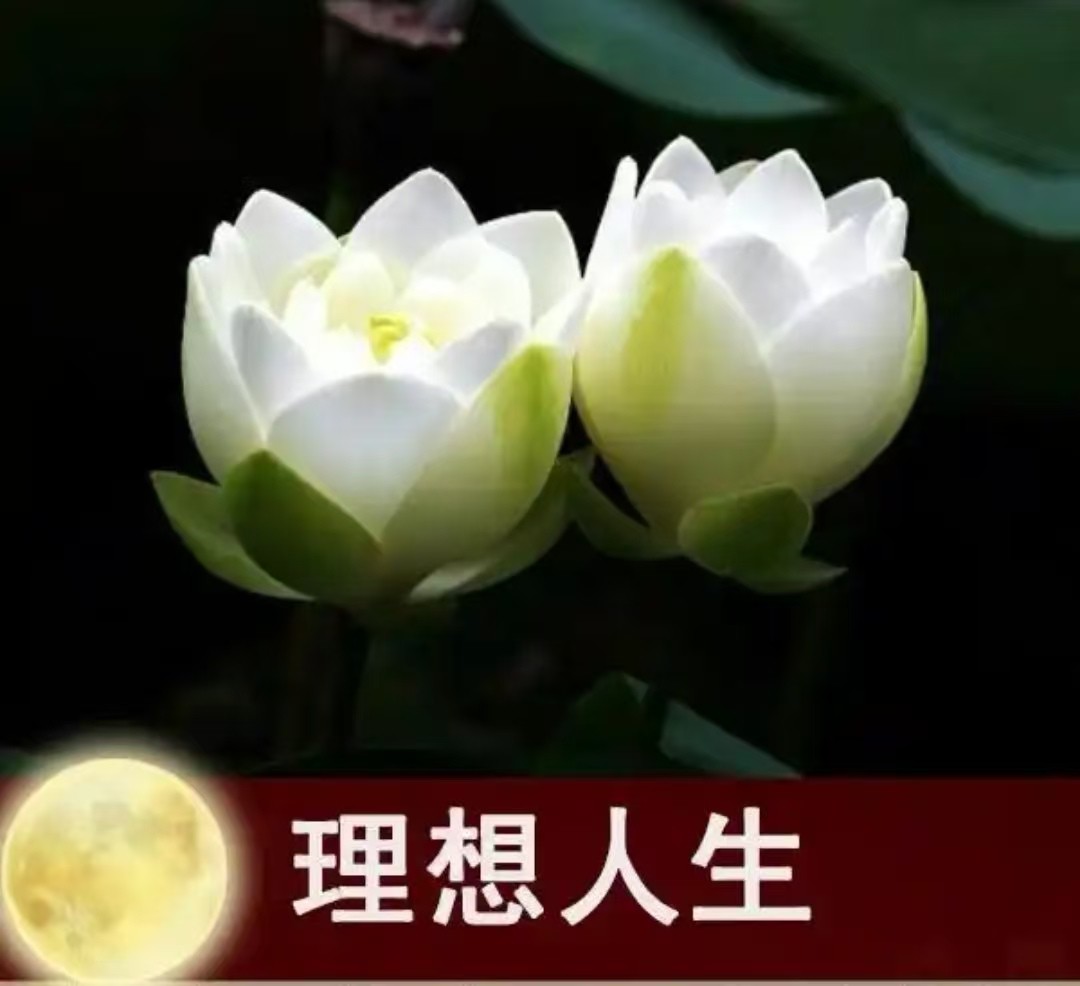 智能功放