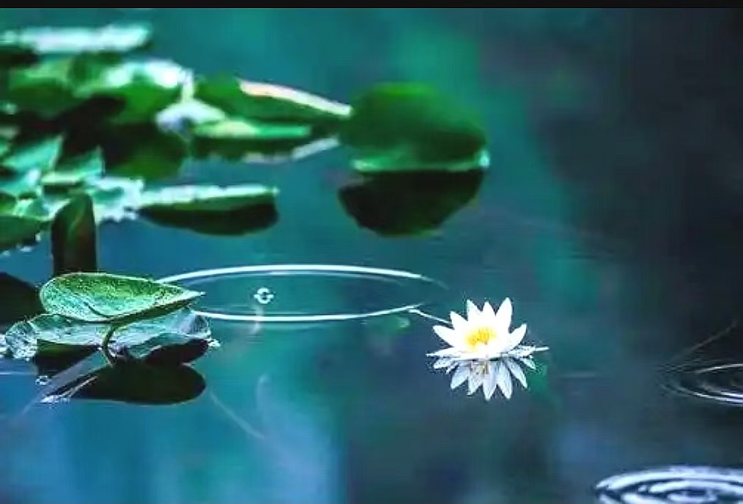 智能功放